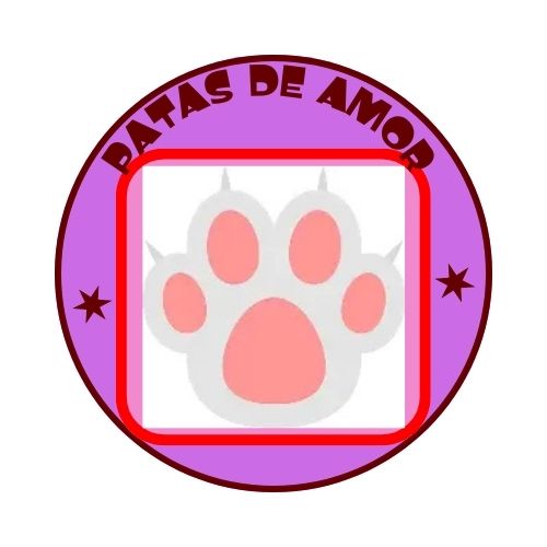 Logo da ONG Patas de Amor