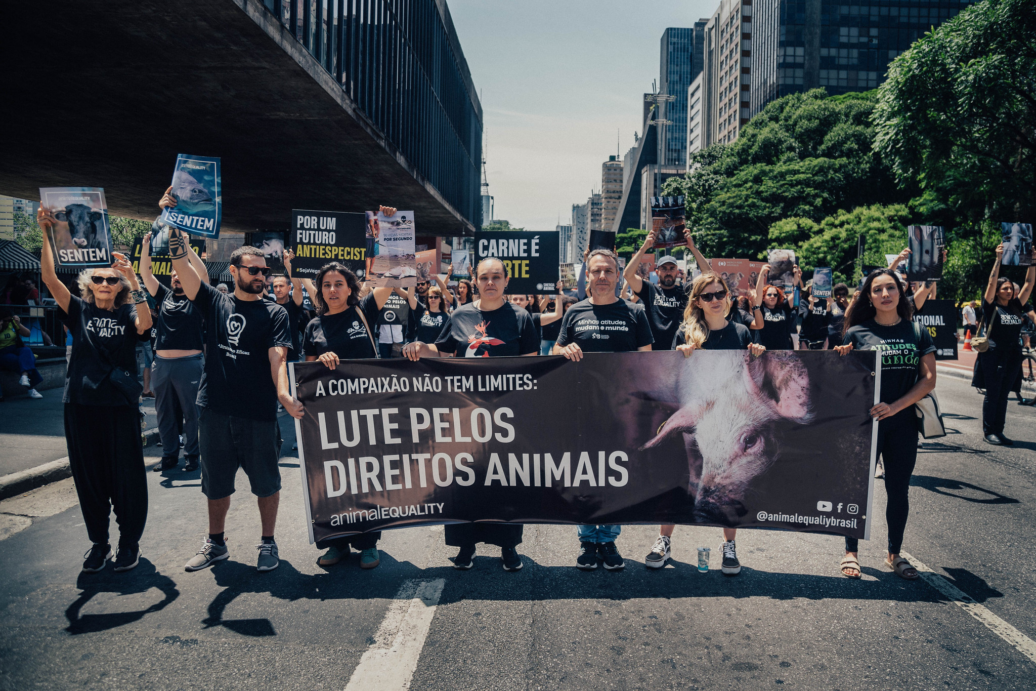 Evento de conscientização
