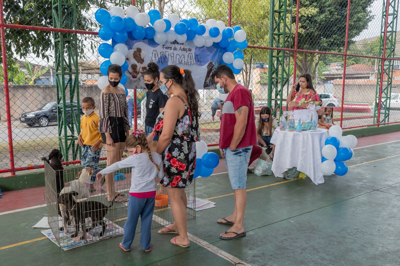Evento de adoção de cães